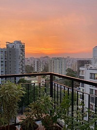 Prestige Raintree Park View